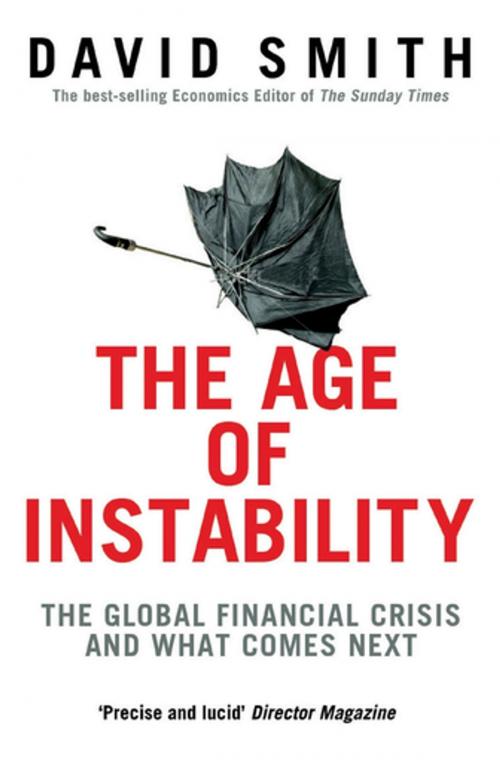 Cover of the book The Age of Instability by David Smith, Profile