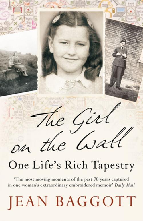 Cover of the book The Girl on the Wall by Jean Baggott, Icon Books Ltd