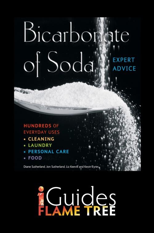 Cover of the book Bicarbonate of Soda by Diane Sutherland, Flame Tree Publishing