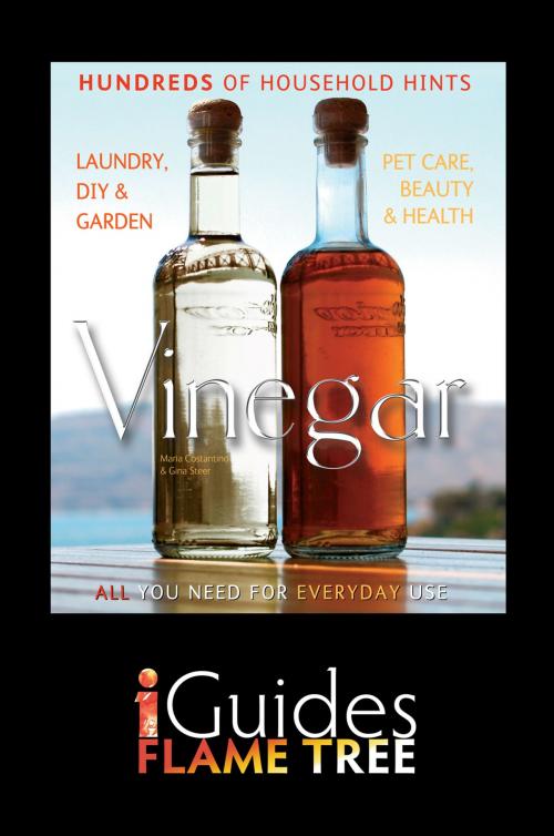 Cover of the book Vinegar by Maria Costantino, Gina Steer, Flame Tree iGuides, Flame Tree Publishing