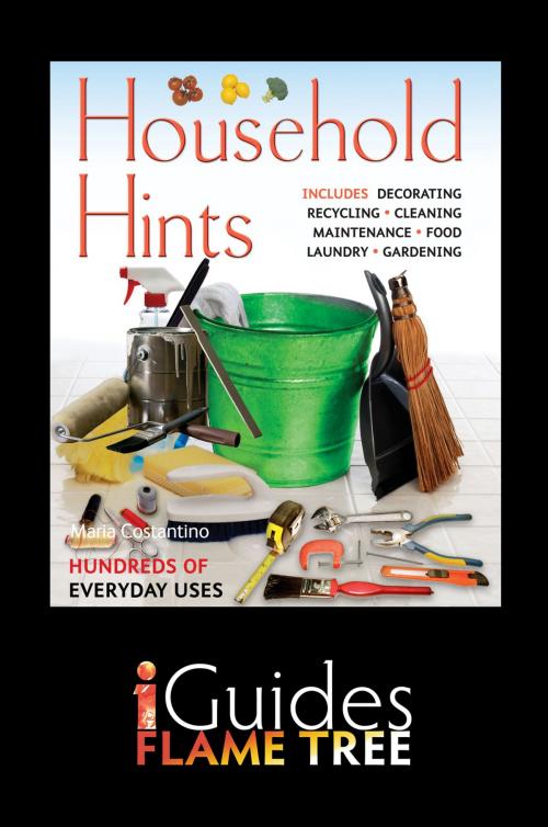 Cover of the book Household Hints: The Complete Practical Guide by Maria Costantino, Flame Tree iGuides, Flame Tree iGuides