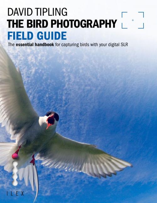 Cover of the book The Bird Photography Field Guide by David Tipling, Octopus Books