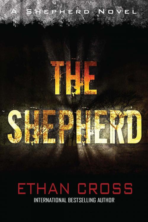 Cover of the book The Shepherd by Ethan Cross, Fiction Studio Books