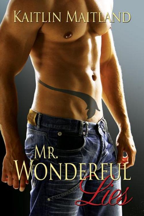 Cover of the book Mr. Wonderful Lies by Kaitlin Maitland, Etopia Press