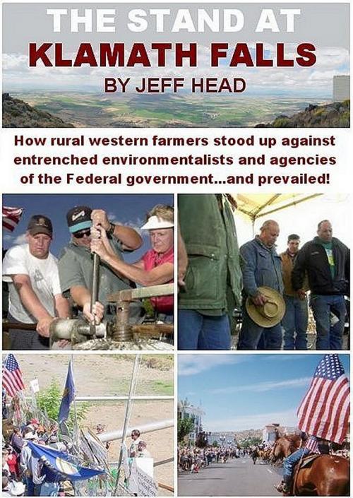 Cover of the book The Stand at Klamath Falls by Jeff Head, Alpha Connections