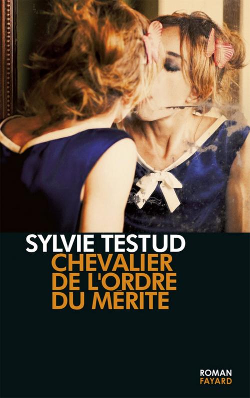 Cover of the book Chevalier de l'ordre du mérite by Sylvie Testud, Fayard