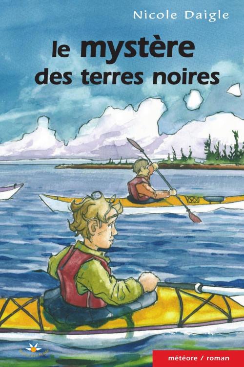 Cover of the book Le mystère des terres noires by Nicole Daigle, Bouton d'or Acadie