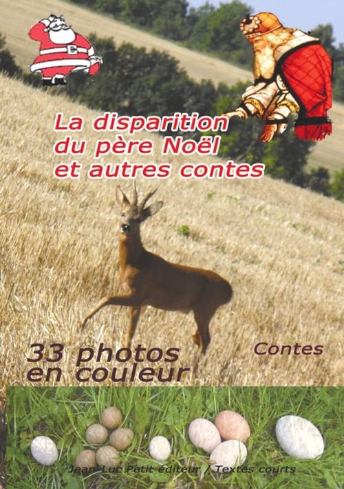 Cover of the book La disparition du père Noël et autres contes by Stéphane Ternoise, Jean-Luc PETIT Editions