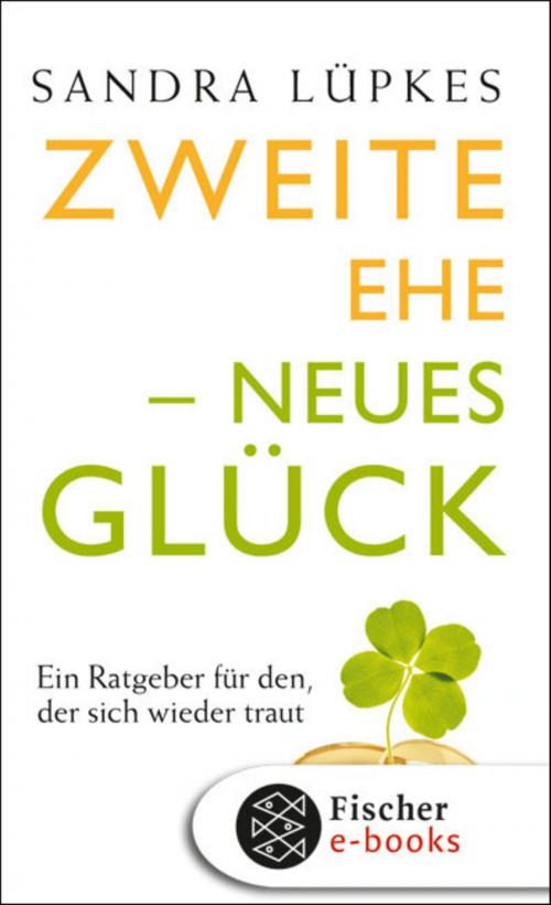 Cover of the book Die zweite Ehe by Sandra Lüpkes, FISCHER E-Books
