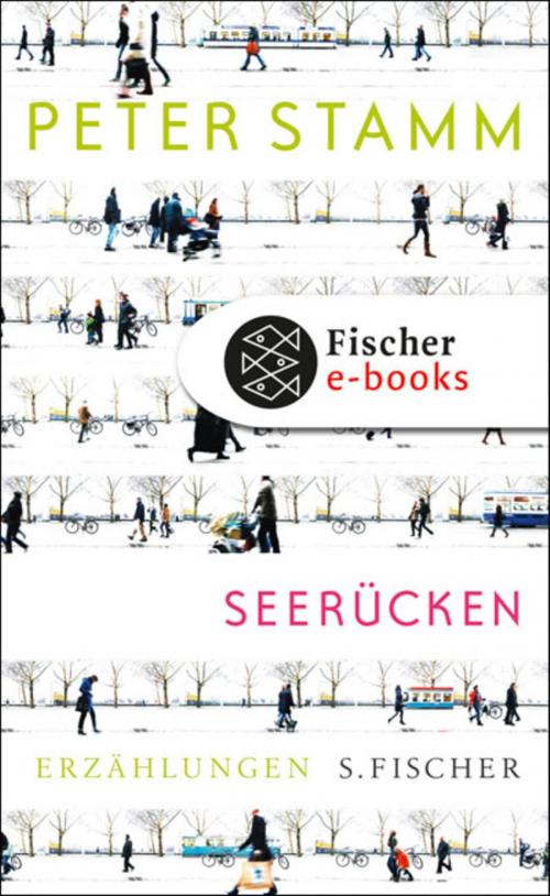 Cover of the book Seerücken by Peter Stamm, FISCHER E-Books