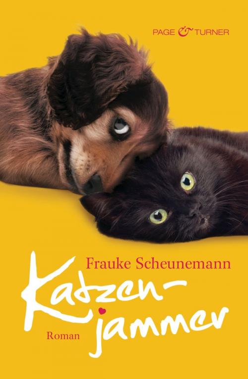 Cover of the book Katzenjammer by Frauke Scheunemann, Page & Turner