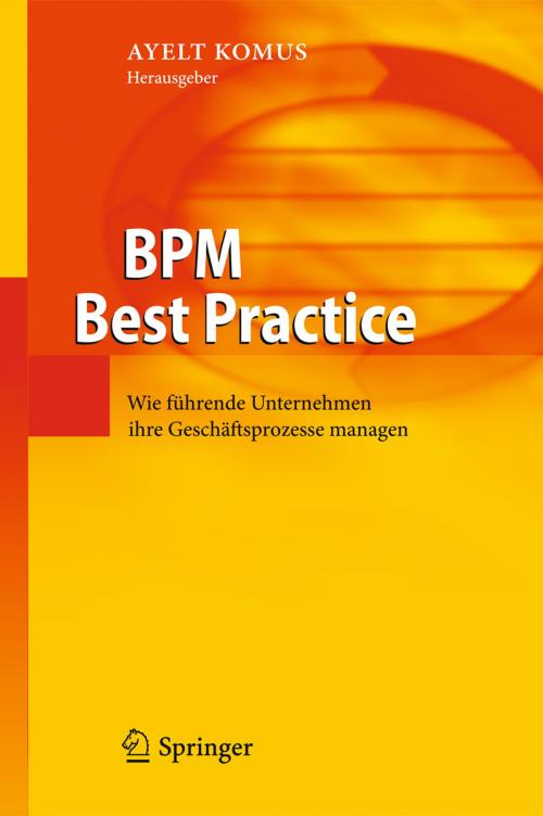 Cover of the book BPM Best Practice by , Springer Berlin Heidelberg