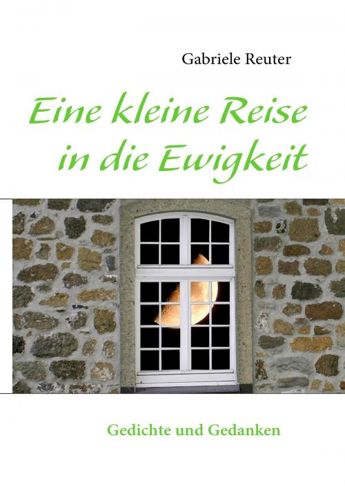 Cover of the book Eine kleine Reise in die Ewigkeit by Gabriele Reuter, Books on Demand