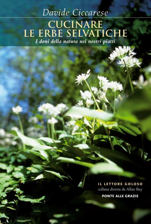 Cover of the book Cucinare le erbe selvatiche by Davide Ciccarese, Ponte alle Grazie