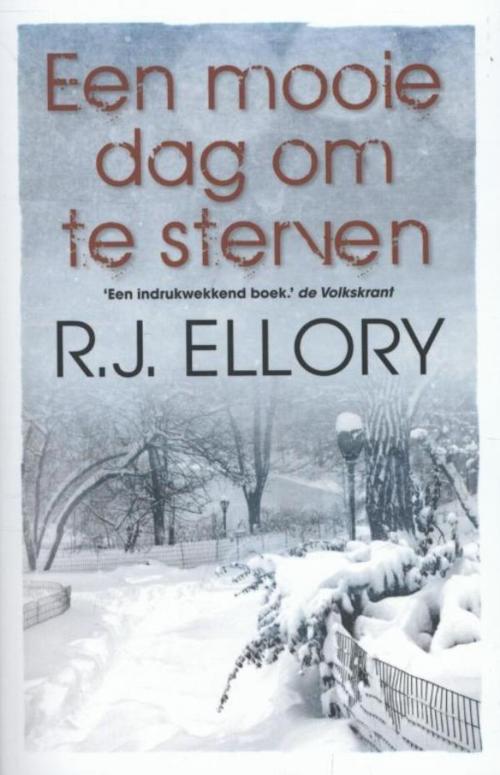Cover of the book Een mooie dag om te sterven by R.J. Ellory, VBK Media