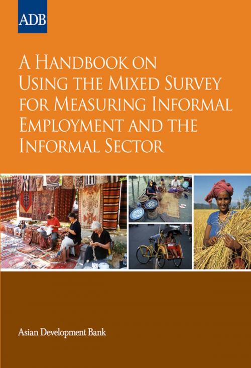 Cover of the book A Handbook on Using the Mixed Survey for Measuring Informal Employment and the Informal Sector by Asian Development Bank, Asian Development Bank