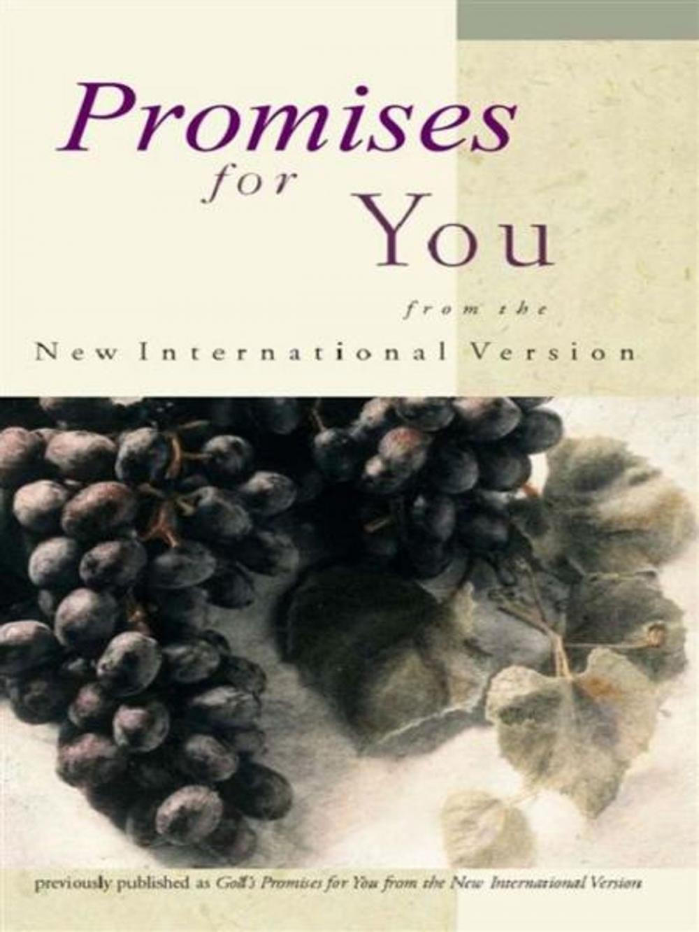 Big bigCover of NIV, Promises for You, eBook