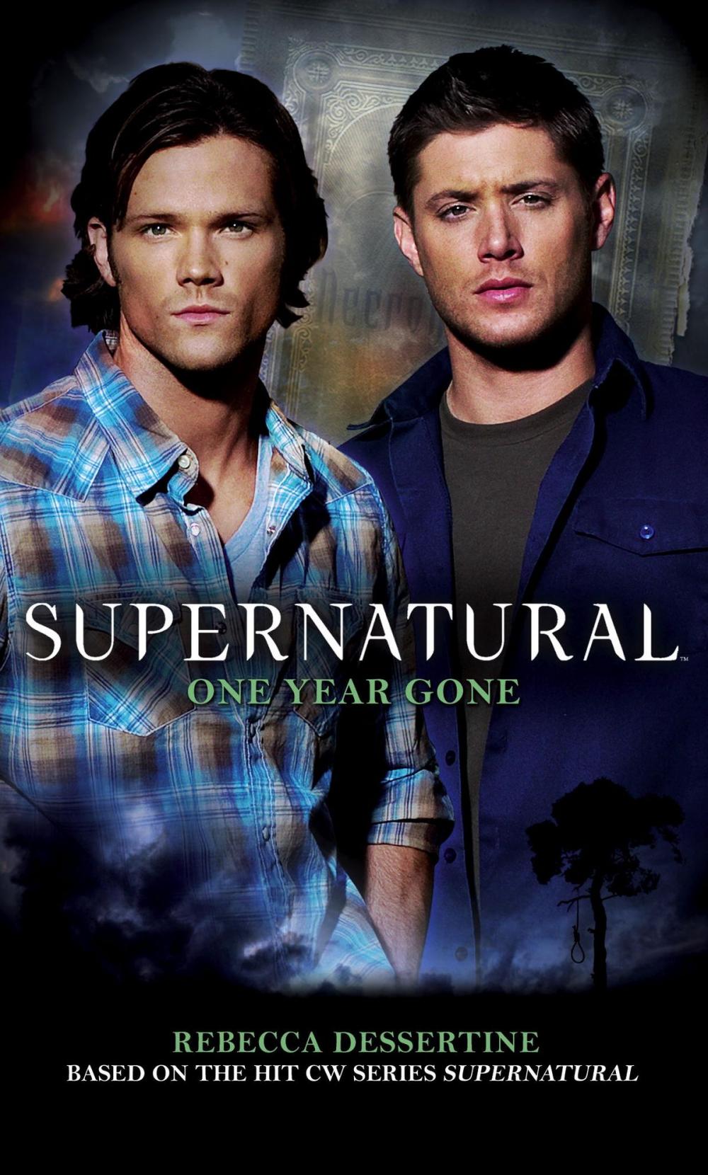 Big bigCover of Supernatural: One Year Gone