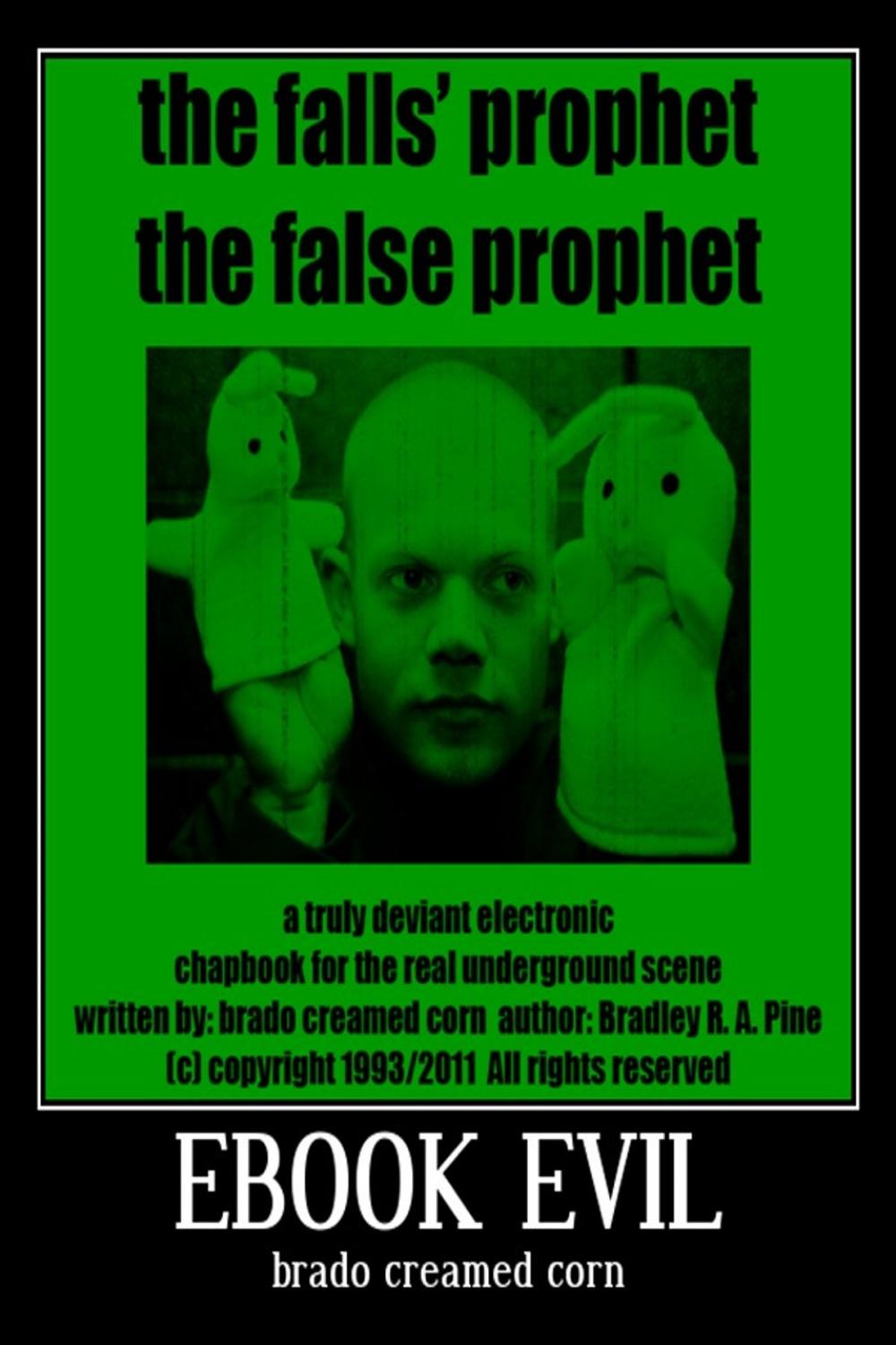 Big bigCover of The Falls' Prophet The False Prophet