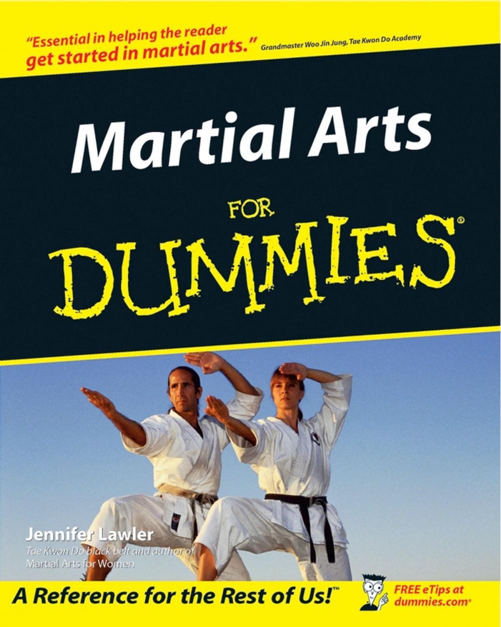 Big bigCover of Martial Arts For Dummies