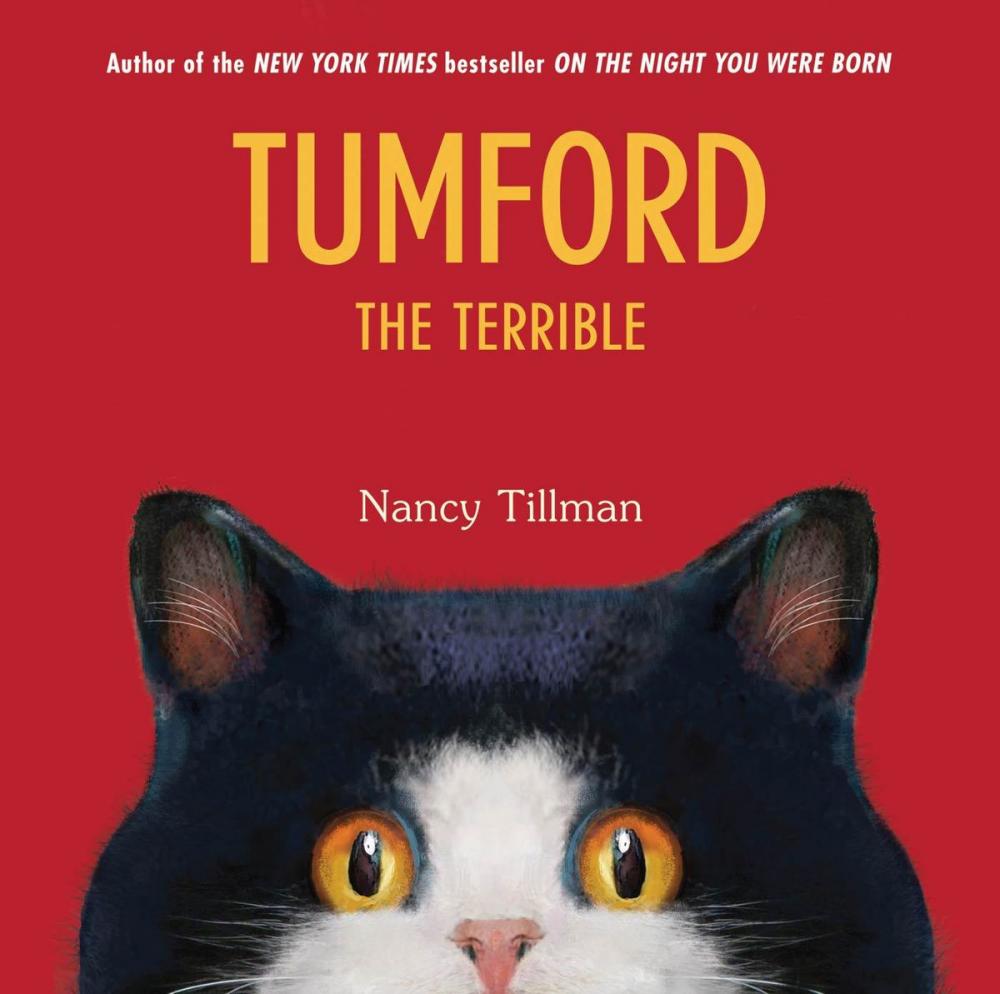 Big bigCover of Tumford the Terrible