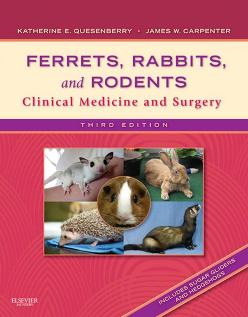 Big bigCover of Ferrets, Rabbits and Rodents - E-Book