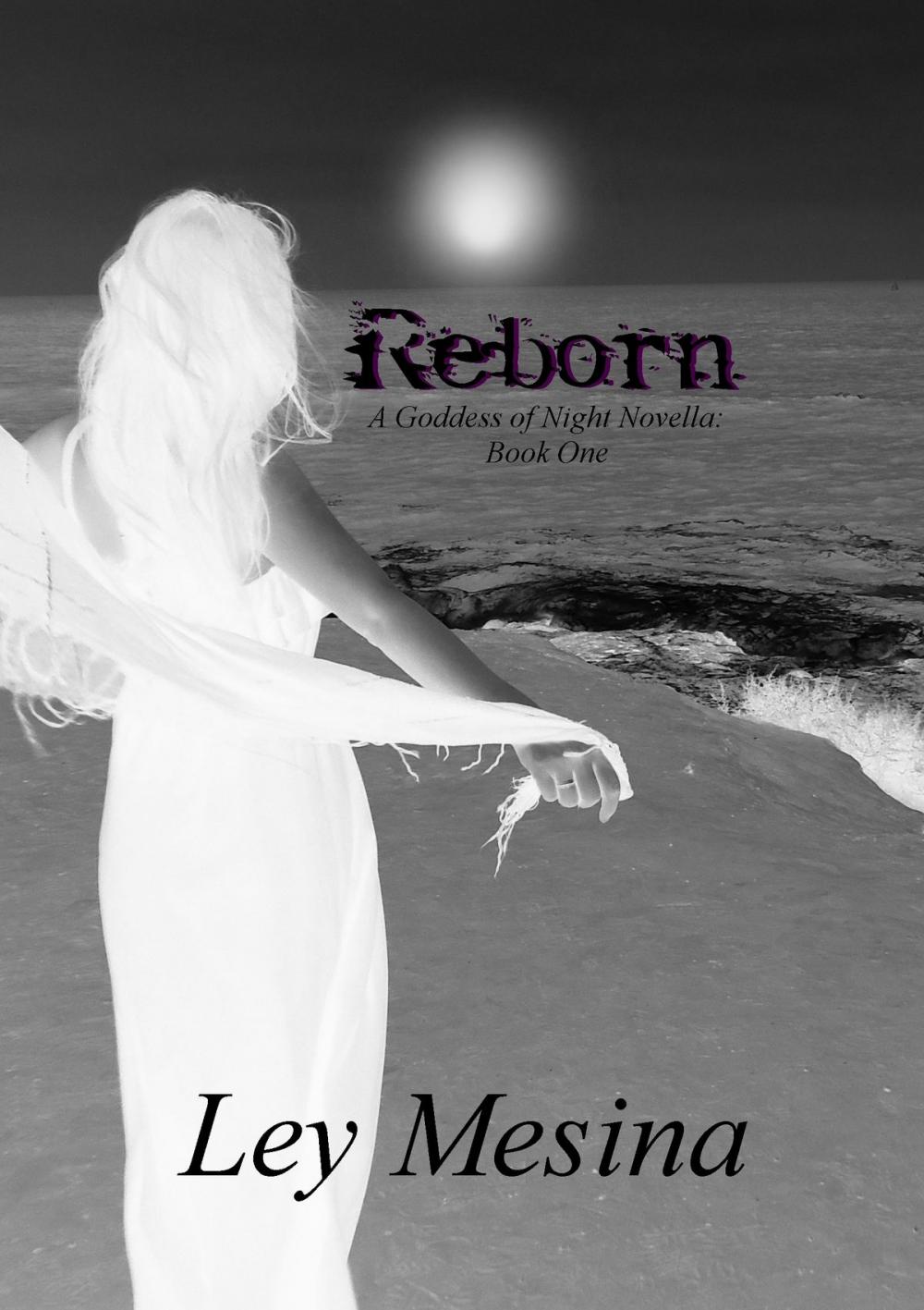Big bigCover of Reborn (A Goddess of Night Novella: Book One)