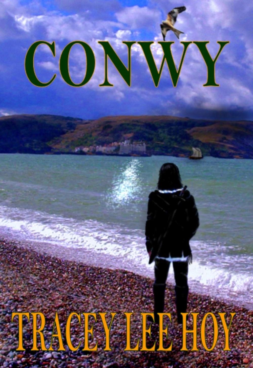 Big bigCover of Conwy