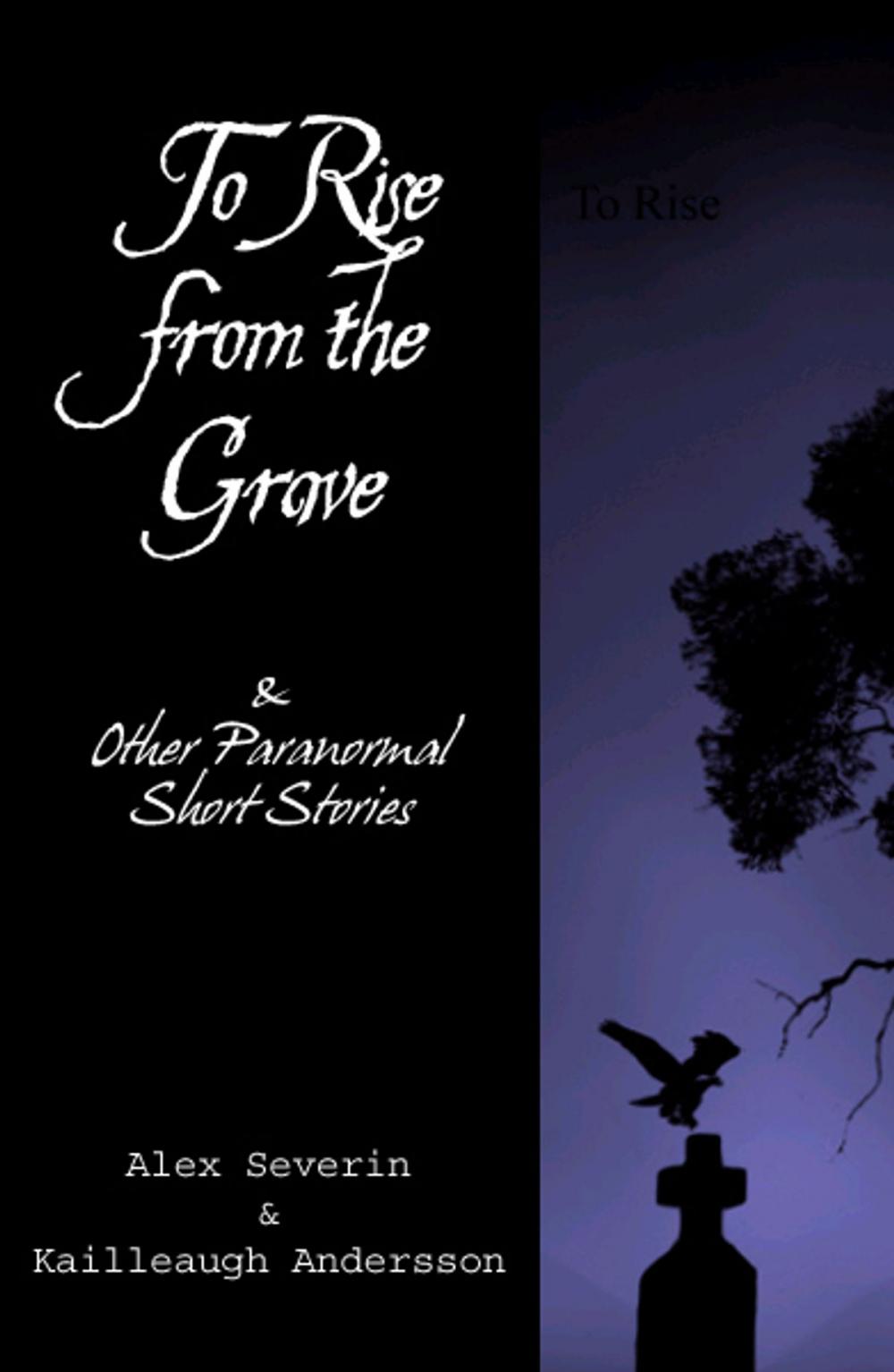 Big bigCover of To Rise from the Grave...& Other Paranormal Short Stories