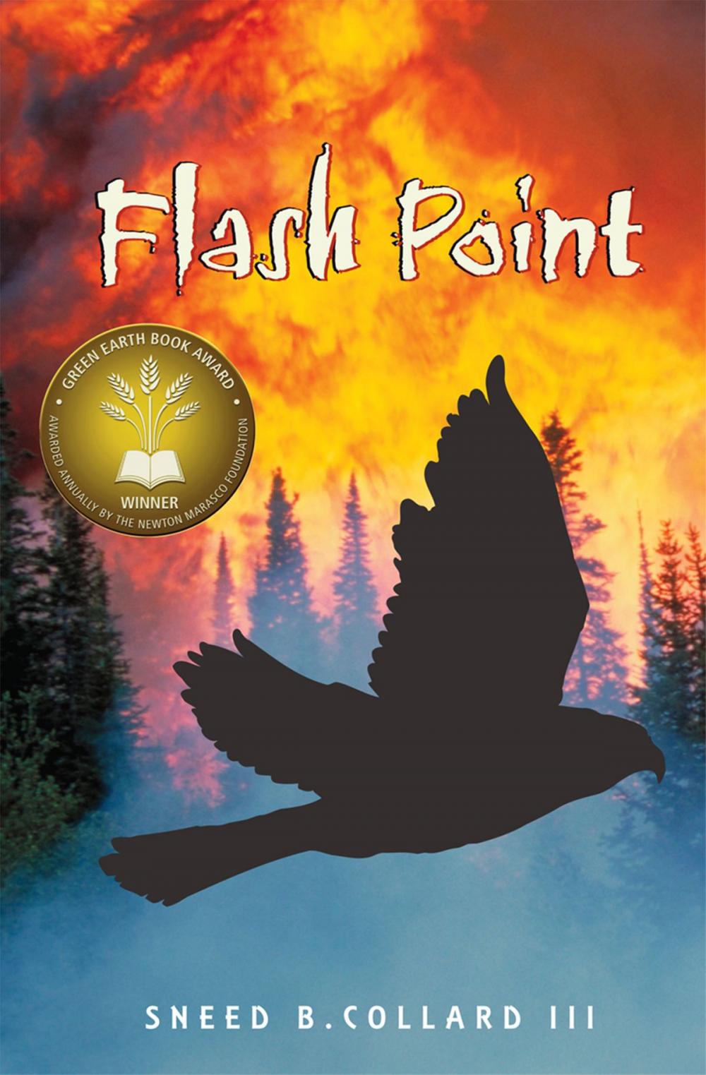 Big bigCover of Flash Point