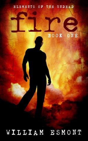 Cover of the book Fire by Kristopher Triana