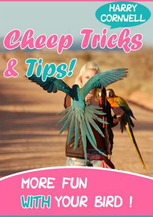 Cover of the book Cheap Tricks And Tips by Helen Mullins
