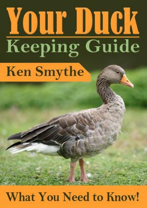 Cover of the book Duck Keeping Guide by Rod Purnell