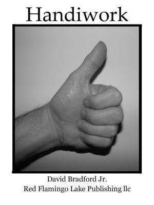 Cover of the book Handiwork by David Bradford Jr.