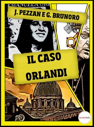 Book cover of Il Caso Orlandi