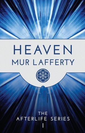 bigCover of the book Heaven: The Afterlife Series I by 