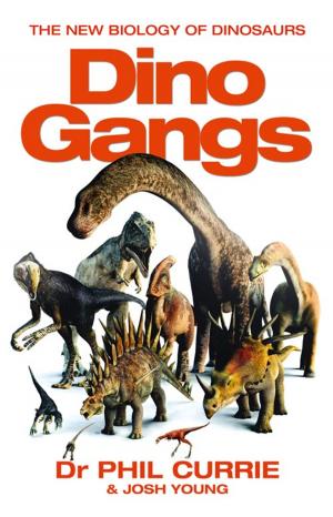 Cover of the book Dino Gangs: Dr Philip J Currie’s New Science of Dinosaurs by June Thomson, Giselle Ross, Marion Scott, Jim McBeth
