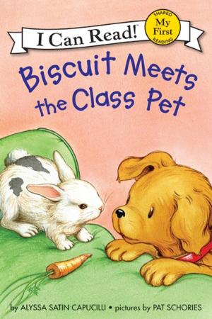 Cover of the book Biscuit Meets the Class Pet by Terry Pratchett