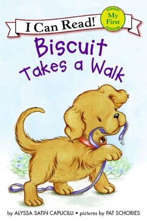 Book cover of Biscuit Takes a Walk