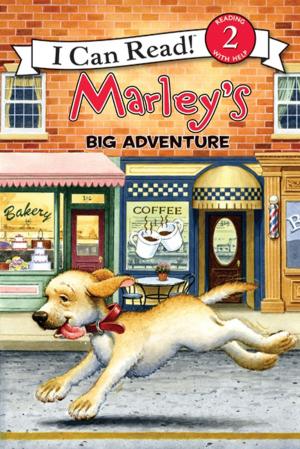 Book cover of Marley: Marley's Big Adventure