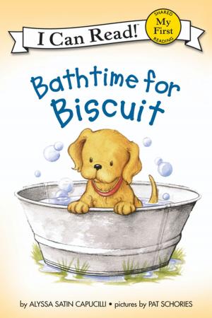 Cover of the book Bathtime for Biscuit by Catherine Hapka