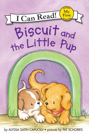 Book cover of Biscuit and the Little Pup