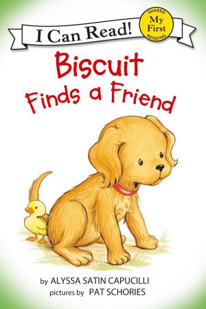 Book cover of Biscuit Finds a Friend