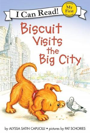 Cover of the book Biscuit Visits the Big City by Peter Lerangis