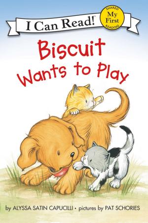 Cover of the book Biscuit Wants to Play by Emelie Schepp