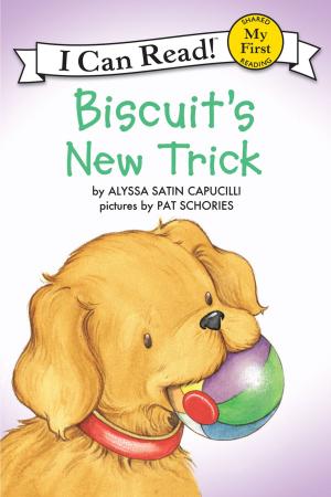 Cover of the book Biscuit's New Trick by Stephanie S. Tolan