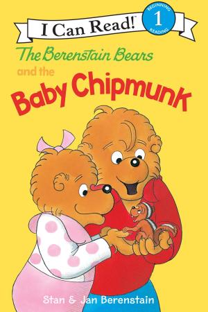 bigCover of the book The Berenstain Bears and the Baby Chipmunk by 