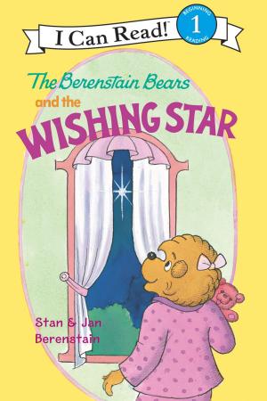 bigCover of the book The Berenstain Bears and the Wishing Star by 