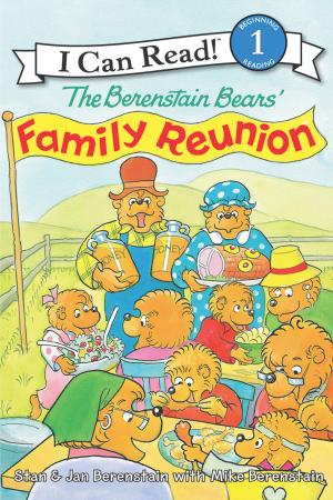 Book cover of The Berenstain Bears' Family Reunion