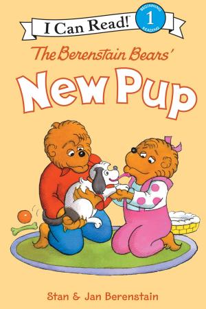 bigCover of the book The Berenstain Bears' New Pup by 
